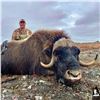 Image 1 : 8 - DAY FALL MUSKOX ADVENTURE FOR 1 HUNTER