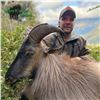 Image 2 : 5 - DAY BULL TAHR HUNT FOR 2 HUNTERS