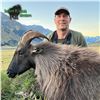 Image 4 : 5 - DAY BULL TAHR HUNT FOR 2 HUNTERS