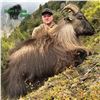 Image 5 : 5 - DAY BULL TAHR HUNT FOR 2 HUNTERS