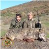 Image 5 : 3 - DAY FREE RANGE BALKAN CHAMOIS OR EUROPEAN GRAY WOLF HUNT IN MACEDONA FOR 1 HUNTER