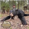 Image 1 : 6 - DAY BEAR HUNT FOR 2 HUNTERS IN ALBERTA (Includes 2 bears each hunter)