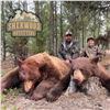 Image 2 : 6 - DAY BEAR HUNT FOR 2 HUNTERS IN ALBERTA (Includes 2 bears each hunter)