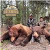 Image 2 : 6 - DAY BEAR HUNT FOR 2 HUNTERS IN ALBERTA (Includes 2 bears each hunter)