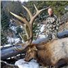 WYOMING GAME & FISH COMMISSIONER TAG 2024