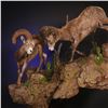Image 3 : LIFE-SIZE WILD SHEEP MOUNT WITH BASE