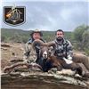 Image 7 : 3 - DAY IBERIAN MOUFLON SHEEP HUNT FOR 2 HUNTERS AND 2 NON-HUNTERS IN SPAIN