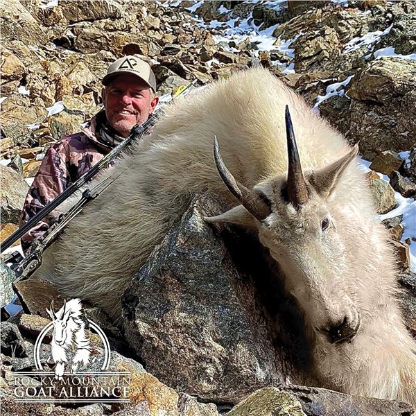 COLORADO ROCKY MOUNTAIN GOAT LICENSE