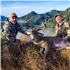 5 - DAY COLUMBIA BLACK TAIL DEER & COASTAL BLACK BEAR HUNT FOR 1 HUNTER