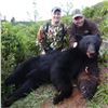 Image 2 : 5 - DAY COLUMBIA BLACK TAIL DEER & COASTAL BLACK BEAR HUNT FOR 1 HUNTER