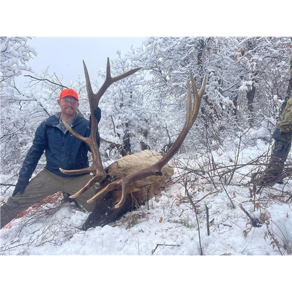 5 - DAY COLORADO ELK AND/OR MULE DEER HUNT FOR 2 HUNTERS