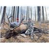 Image 2 : 5 - DAY COLORADO ELK AND/OR MULE DEER HUNT FOR 2 HUNTERS