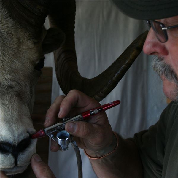 TROPHY CLEANING FOR HOME OR OFFICE