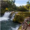 Image 6 : 8 - DAY/7-NIGHTS FISHING ADVENTURE IN BELIZE FOR 2 ANGLERS