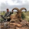 Image 4 : 3 1/2 - DAY AOUDAD HUNT FOR 1 HUNTER IN WEST TEXAS