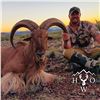 Image 5 : 3 1/2 - DAY AOUDAD HUNT FOR 1 HUNTER IN WEST TEXAS