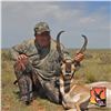 Image 6 : ARIZONA GAME & FISH COMMISSIONER’S SPECIAL PRONGHORN TAG