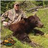 Image 2 : 5 - DAY COLUMBIA BLACKTAIL DEER AND BLACK BEAR COMBO HUNT IN OREGON FOR 1 HUNTER