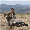 Image 3 : 2024 TEXAS DESERT BIGHORN SHEEP PERMIT