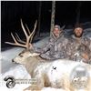 Image 2 : 4 - DAY MULE DEER HUNT FOR 2 HUNTERS