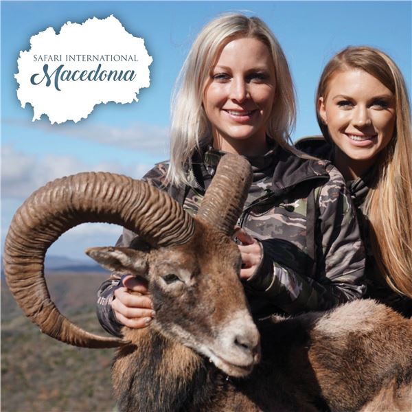 5 - DAY EUROPEAN MOUFLON HUNT FOR 1 HUNTER AND 1 N0N-HUNTER