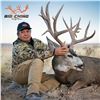 Image 1 : 7 - DAY ARCHERY MULE DEER HUNT IN ARIZONA FOR 1 HUNTER