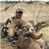 STATE OF MONTANA BIGHORN SHEEP LICENSE