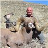 Image 7 : STATE OF MONTANA BIGHORN SHEEP LICENSE