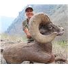 Image 3 : IDAHO BIGHORN SHEEP IDAHO DEPARTMENT OF FISH AND GAME