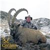 Image 1 : 5 - DAY SAYAN IBEX HUNT FOR 1 HUNTER IN ABAKAN, RUSSIA