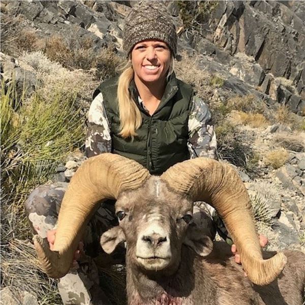 STATE OF NEVADA NELSON DESERT BIGHORN SHEEP TAG