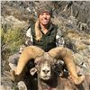 Image 1 : STATE OF NEVADA NELSON DESERT BIGHORN SHEEP TAG