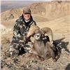 Image 3 : STATE OF NEVADA NELSON DESERT BIGHORN SHEEP TAG