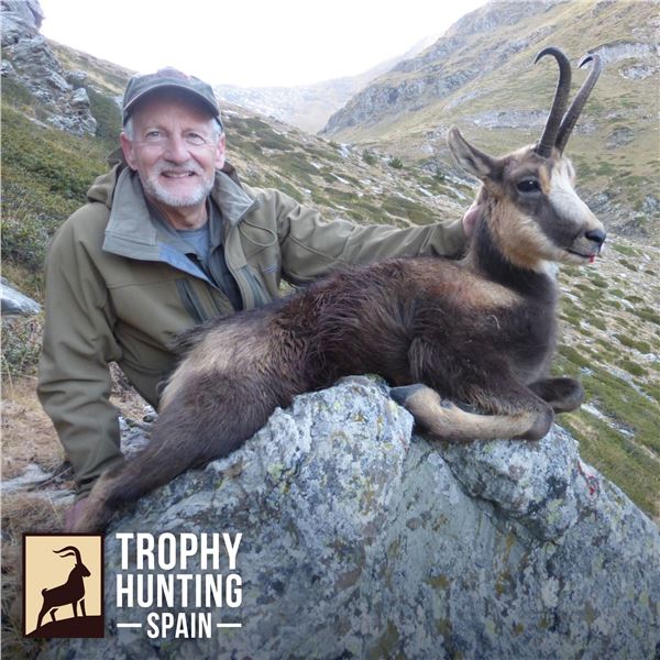 5 - DAY PYRENEAN CHAMOIS HUNT FOR 1 HUNTER AND 1 NON-HUNTER (Trophy included for 1 Pyrenean chamois