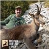 Image 2 : 5 - DAY PYRENEAN CHAMOIS HUNT FOR 1 HUNTER AND 1 NON-HUNTER (Trophy included for 1 Pyrenean chamois