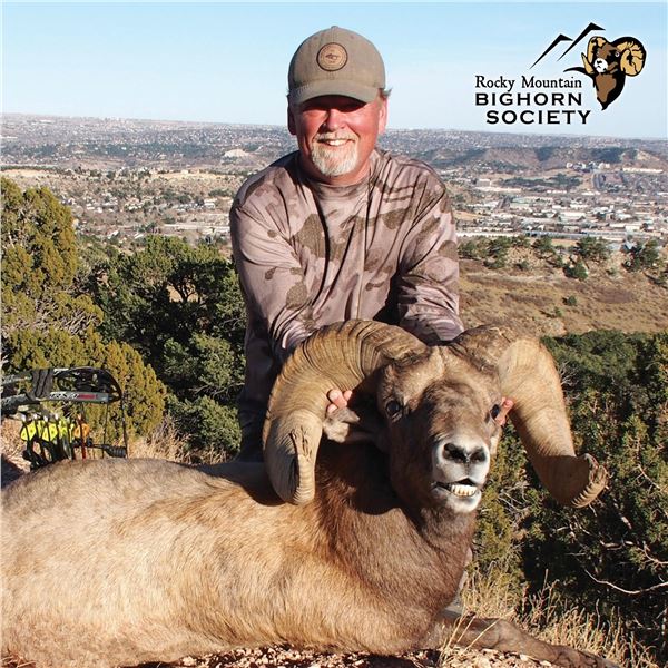 COLORADO ROCKY MOUNTAIN BIGHORN SHEEP LICENSE