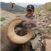 Image 6 : COLORADO ROCKY MOUNTAIN BIGHORN SHEEP LICENSE
