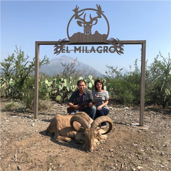 3 - DAY AOUDAD AND MEXICAN FERAL FIGHTING BULL HUNT FOR 1 HUNTER & 1 NON-HUNTER