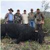 Image 2 : 3 - DAY AOUDAD AND MEXICAN FERAL FIGHTING BULL HUNT FOR 1 HUNTER & 1 NON-HUNTER