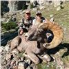 Image 3 : WYOMING ROCKY MOUNTAIN BIGHORN SHEEP LICENSE