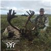 Image 2 : 10 - DAY DALL’S SHEEP/ ARCTIC GRIZZLY/BARREN GROUND/CARIBOU HUNT FOR 1 HUNTER IN ALASKA’S ARCTIC NAT