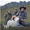 Image 4 : 10 - DAY DALL’S SHEEP/ ARCTIC GRIZZLY/BARREN GROUND/CARIBOU HUNT FOR 1 HUNTER IN ALASKA’S ARCTIC NAT