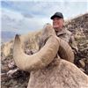 Image 4 : 2024 OREGON BIGHORN SHEEP TAG