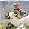 Image 2 : 12 - DAY DALL’S SHEEP/WOLF/WOLVERINE HUNT IN THE NORTHWEST TERRITORIES FOR 1 HUNTER & 1 NON-HUNTER