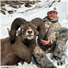 Image 2 : BRITISH COLUMBIA MOUNTAIN SHEEP SPECIAL HUNTING PERMIT