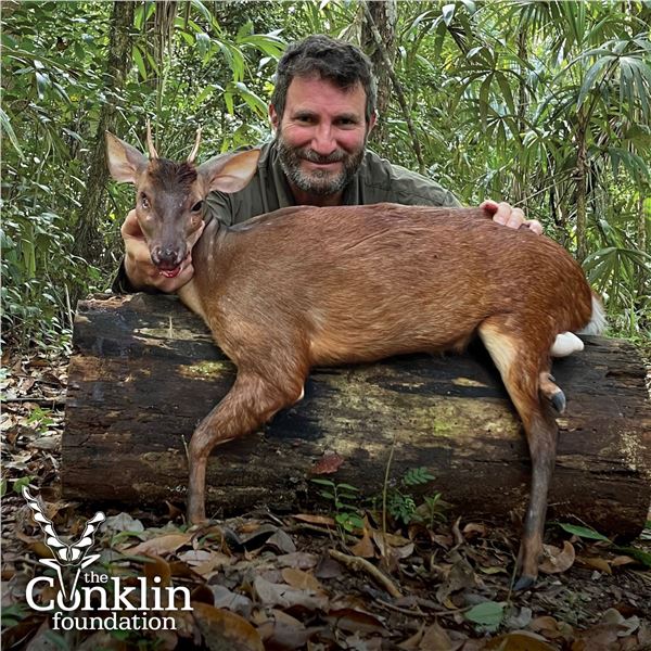 6 - DAY RED BROCKET DEER HUNT FOR 1 HUNTER IN CAMPECHE MEXICO