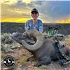 Image 4 : TAOS PUEBLO ROCKY MOUNTAIN BIGHORN SHEEP PERMIT