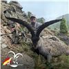 Image 1 : 3 - DAY BECEITE IBEX HUNT FOR 1 OR 2 HUNTERS (Includes Trophy Fees for 1 Beceite ibex scoring up to