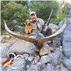 Image 2 : 3 - DAY BECEITE IBEX HUNT FOR 1 OR 2 HUNTERS (Includes Trophy Fees for 1 Beceite ibex scoring up to