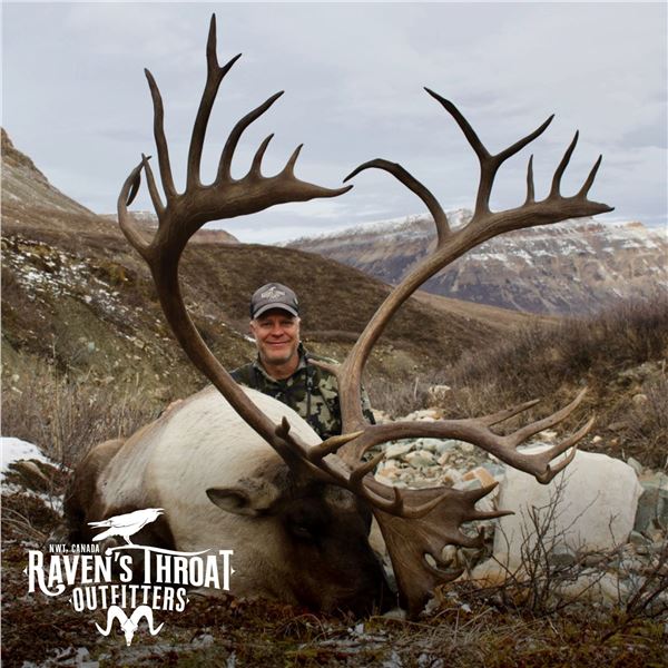 10 - DAY MOUNTAIN CARIBOU HUNT FOR 1 HUNTER IN NWT CANADA